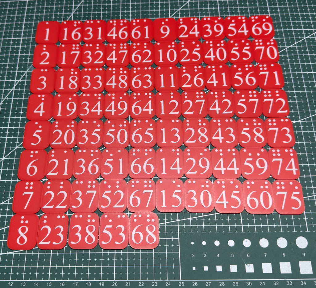 Visually Impaired & Blind People Bingo Card