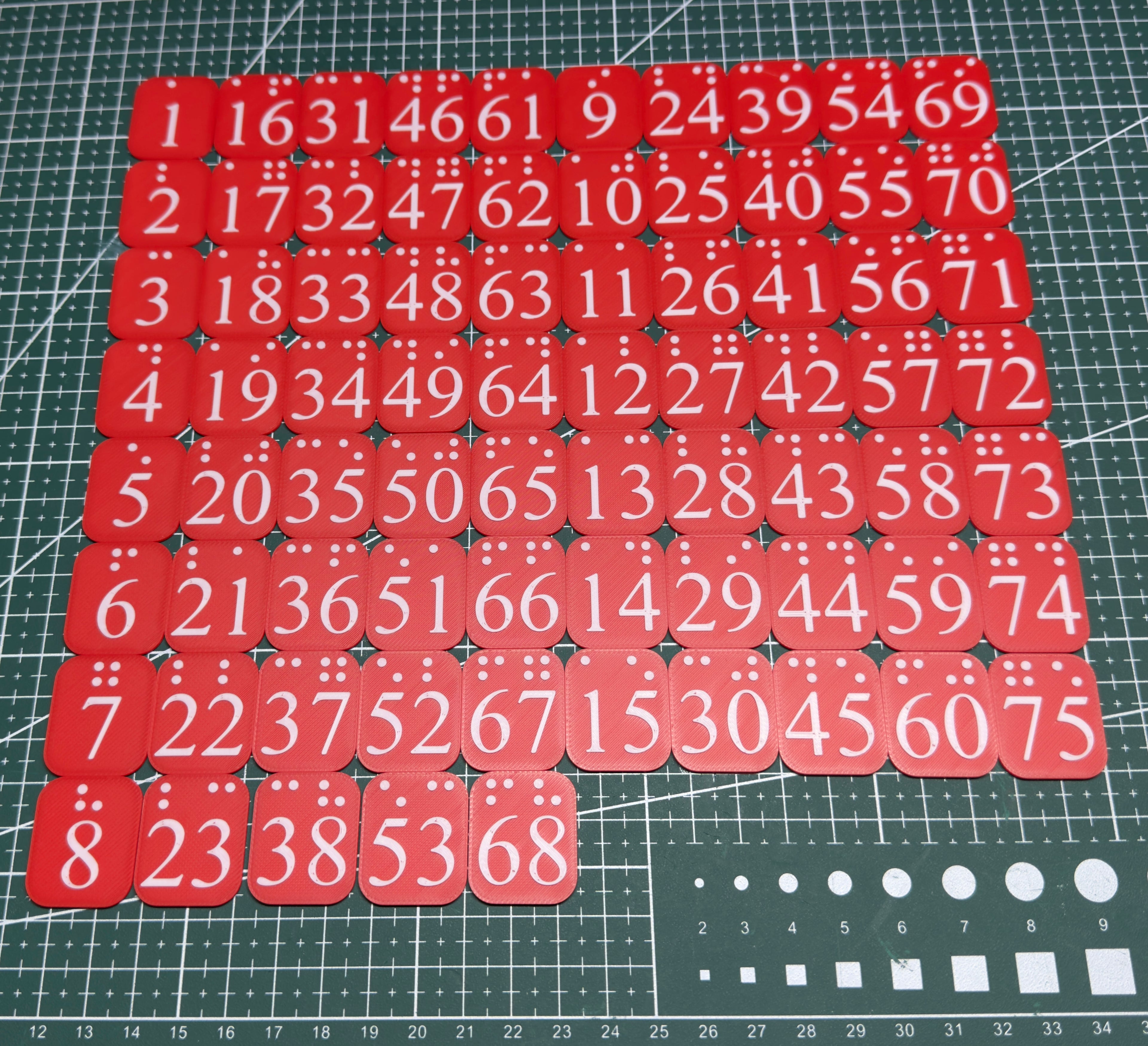 Visually Impaired & Blind People Bingo Card
