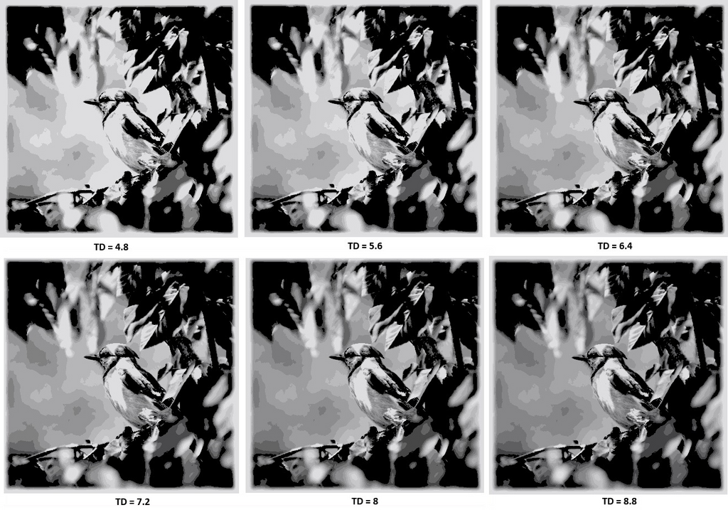 TD strips card