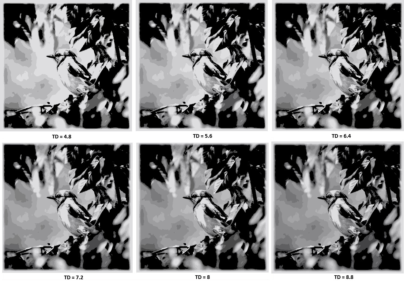 TD strips card