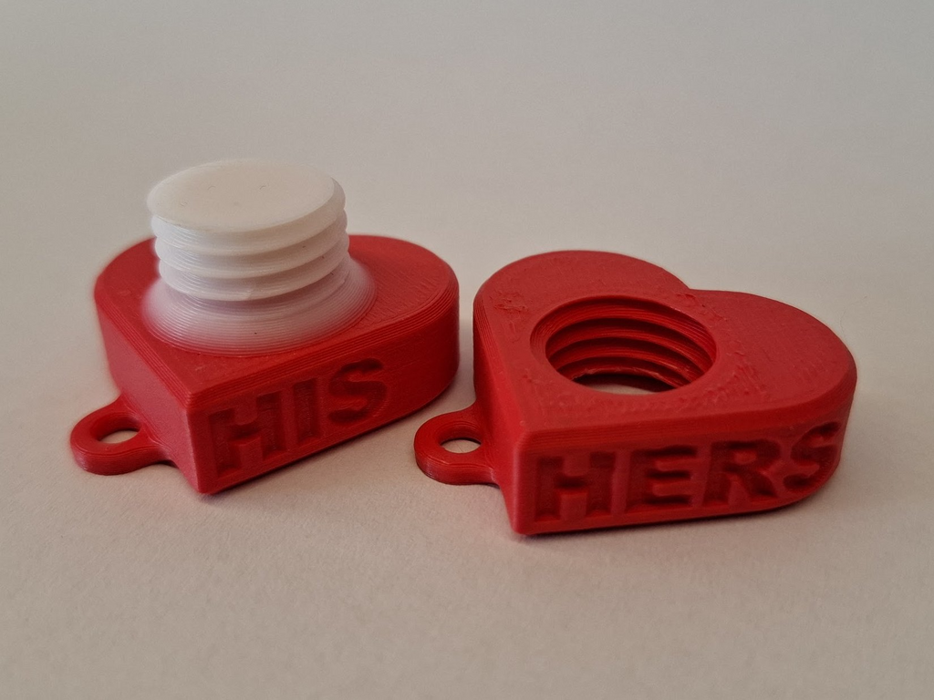Valentine's Day heart-shaped bolt & nut couple