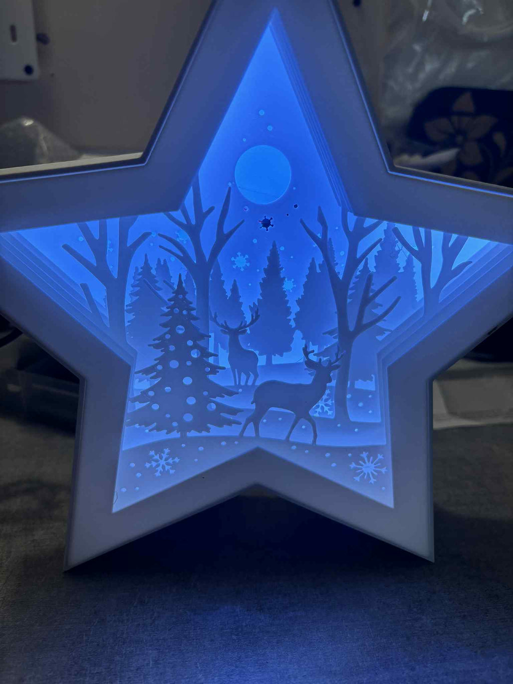 Etoile noël