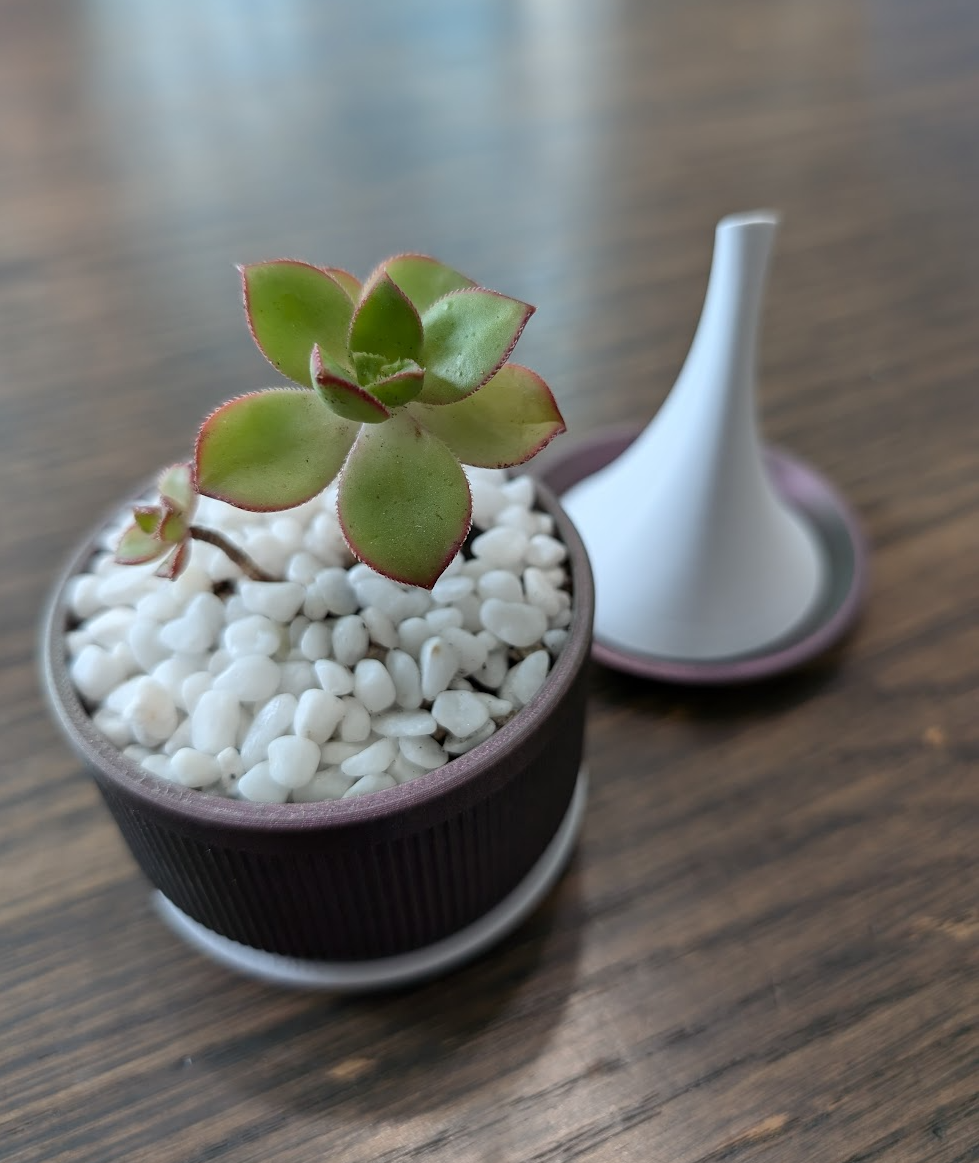Mini Succulent Planter & Watering Can