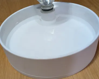 Pet Bowl (Dog/Cat)