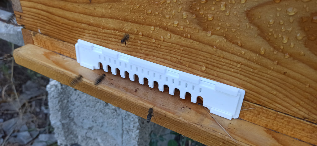 Beehive Entrance Reducer