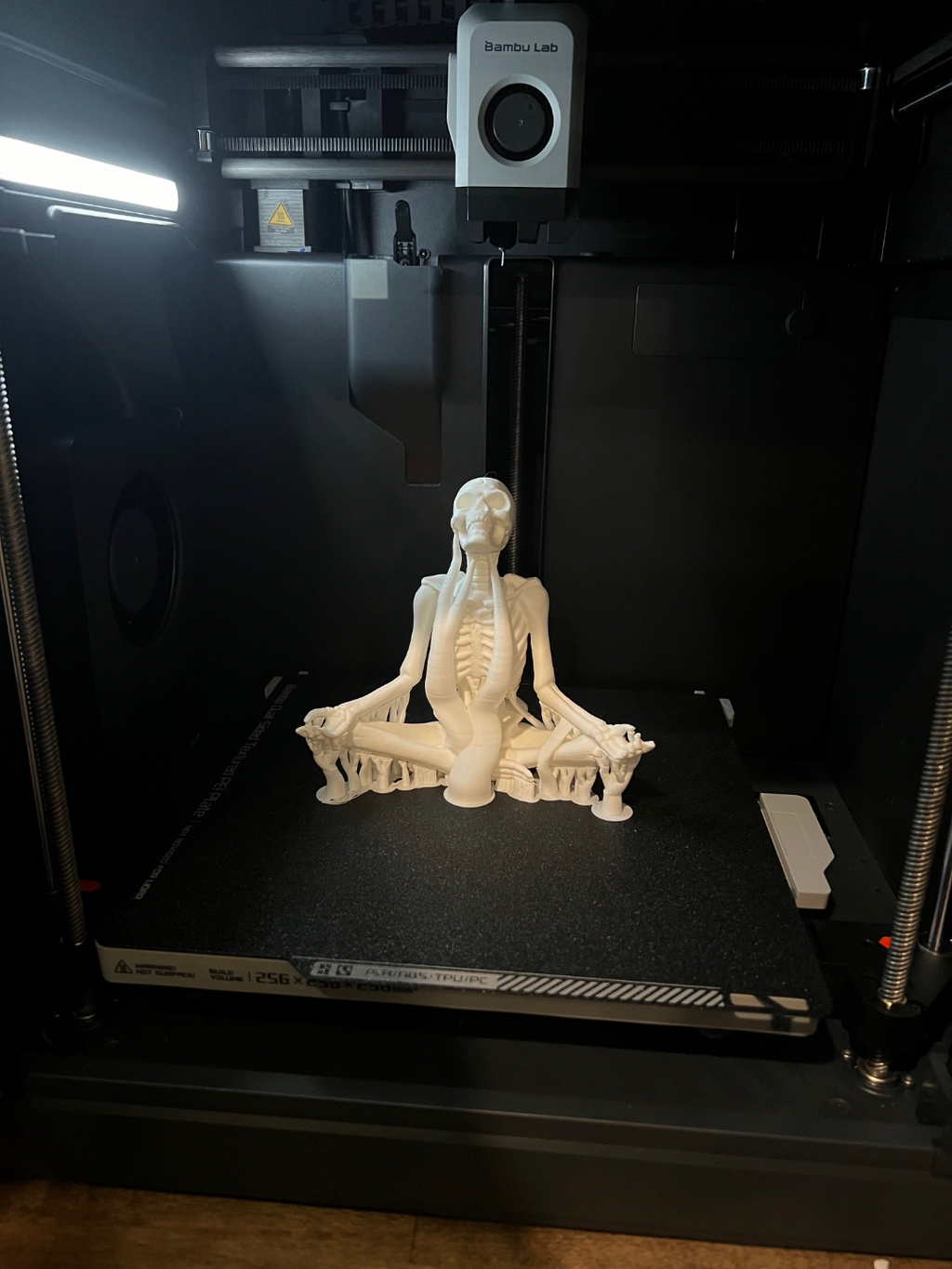 Meditating Skeleton